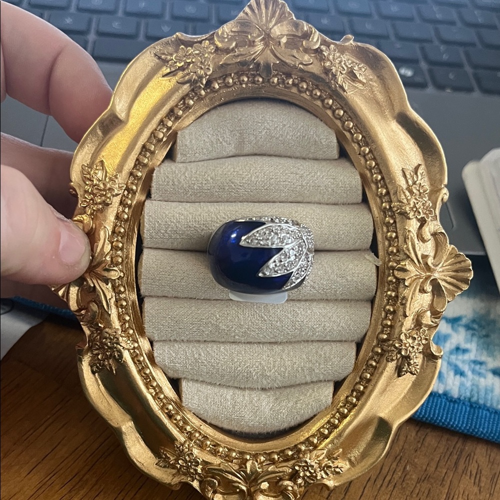 Elegant Blue and Silver Ring, NWT